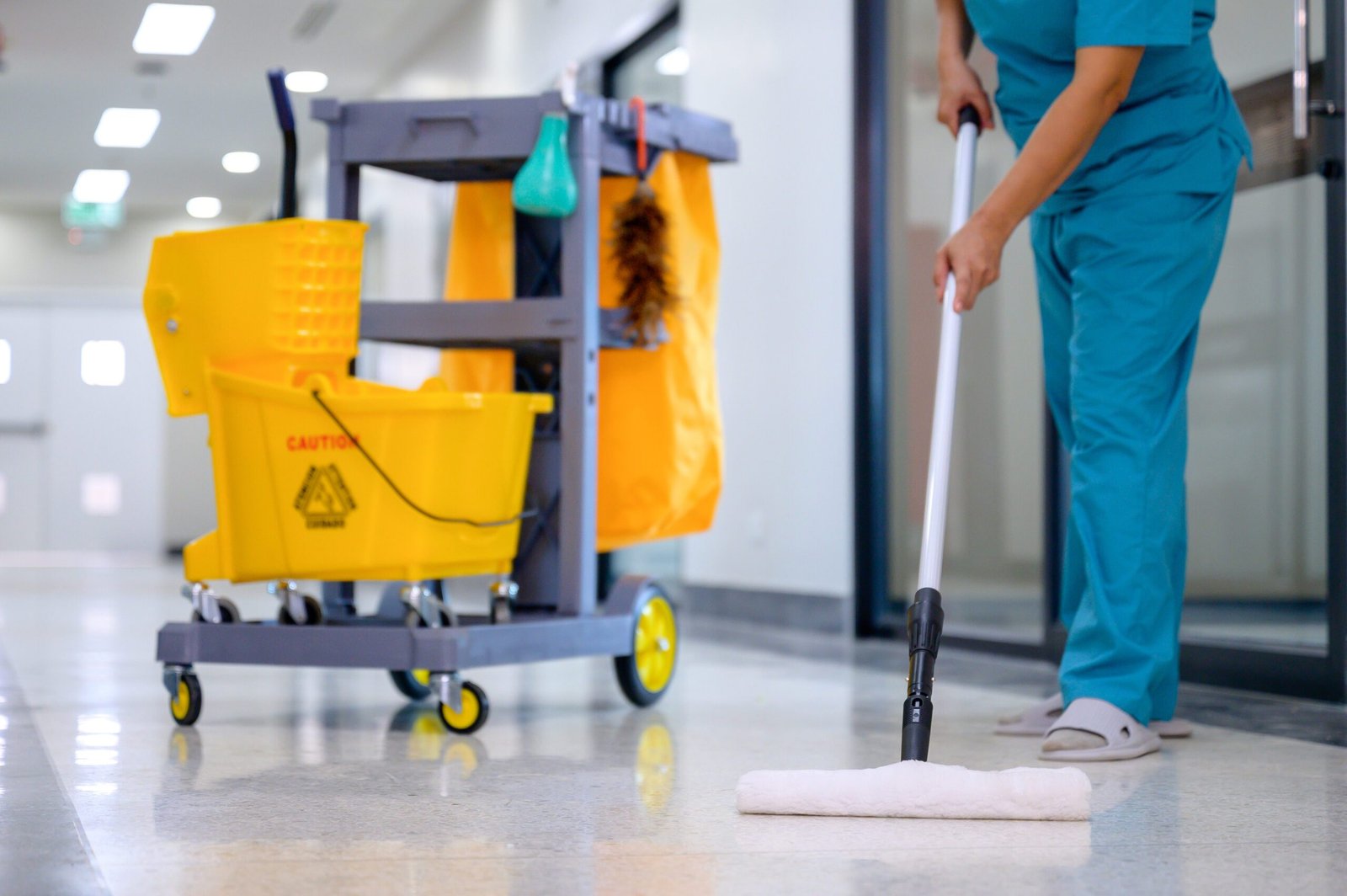 ddd12-professional-cleaning-services.jpg